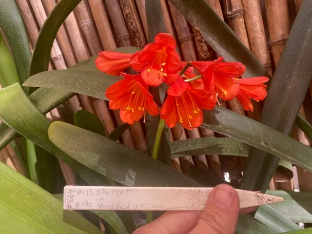 Red Hot Plot
